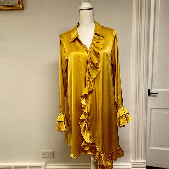 Scared Hawk Silk Wrap Dress - Picture 1 of 3